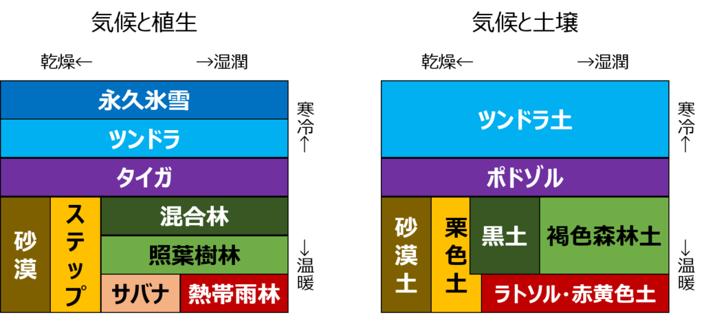 土壌の分布と分類（成帯土壌と間帯土壌） - 地理ラボ 詳しすぎる高校地理
