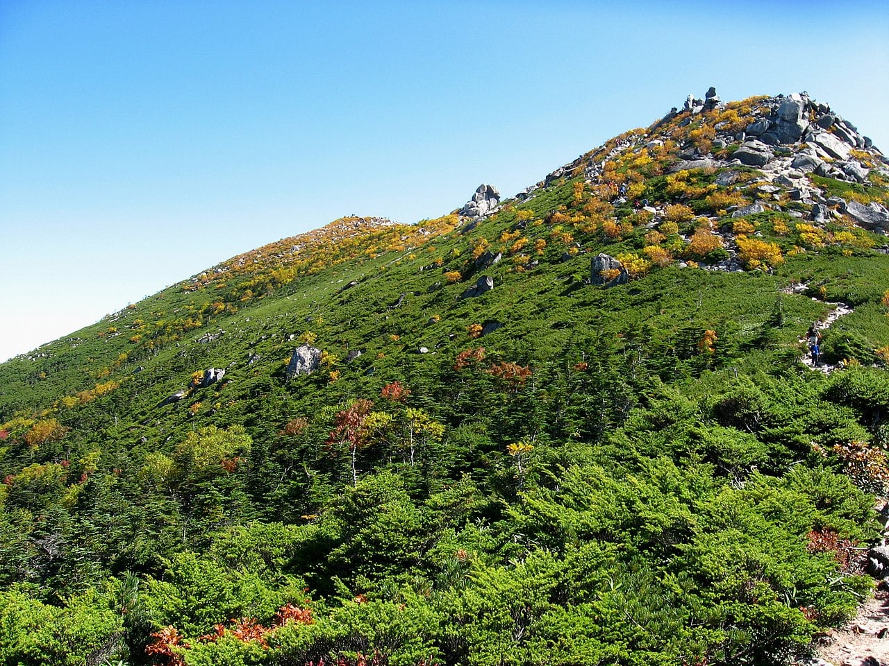 高山気候と森林限界 地理ラボ 詳しすぎる高校地理