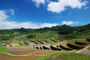 イネと稲作(稲と米の違い・栽培条件・水稲と陸稲・浮稲) - 地理ラボ 詳しすぎる高校地理