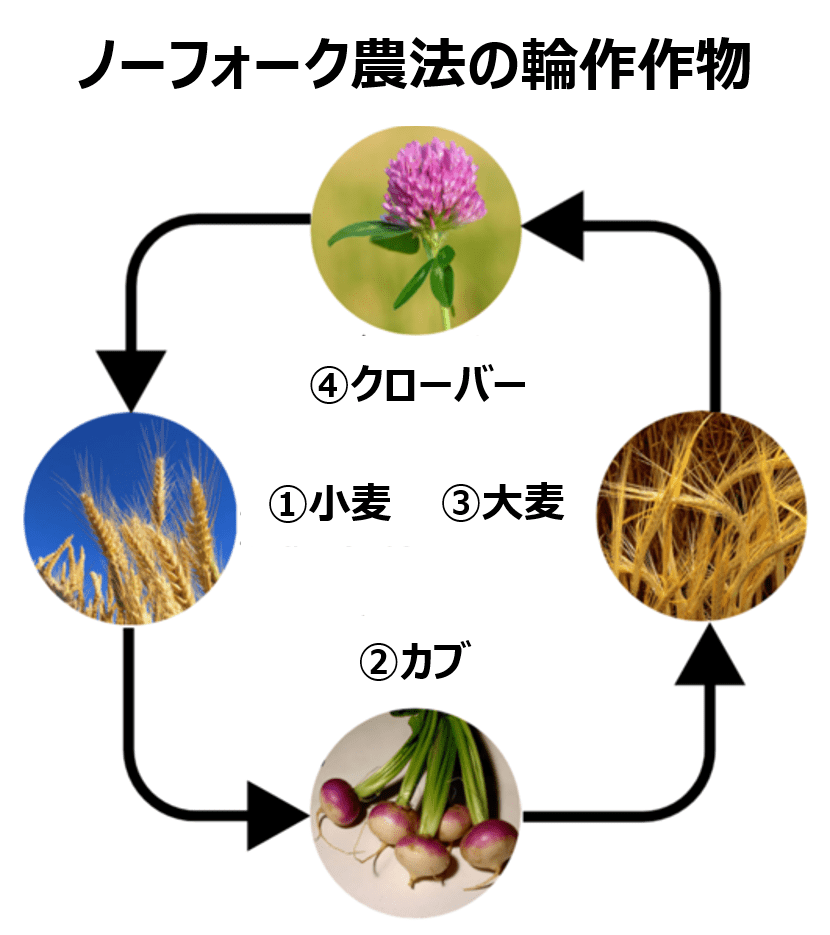 コムギの栽培(冬小麦と春小麦・小麦カレンダー) - 地理ラボ 詳しすぎる高校地理
