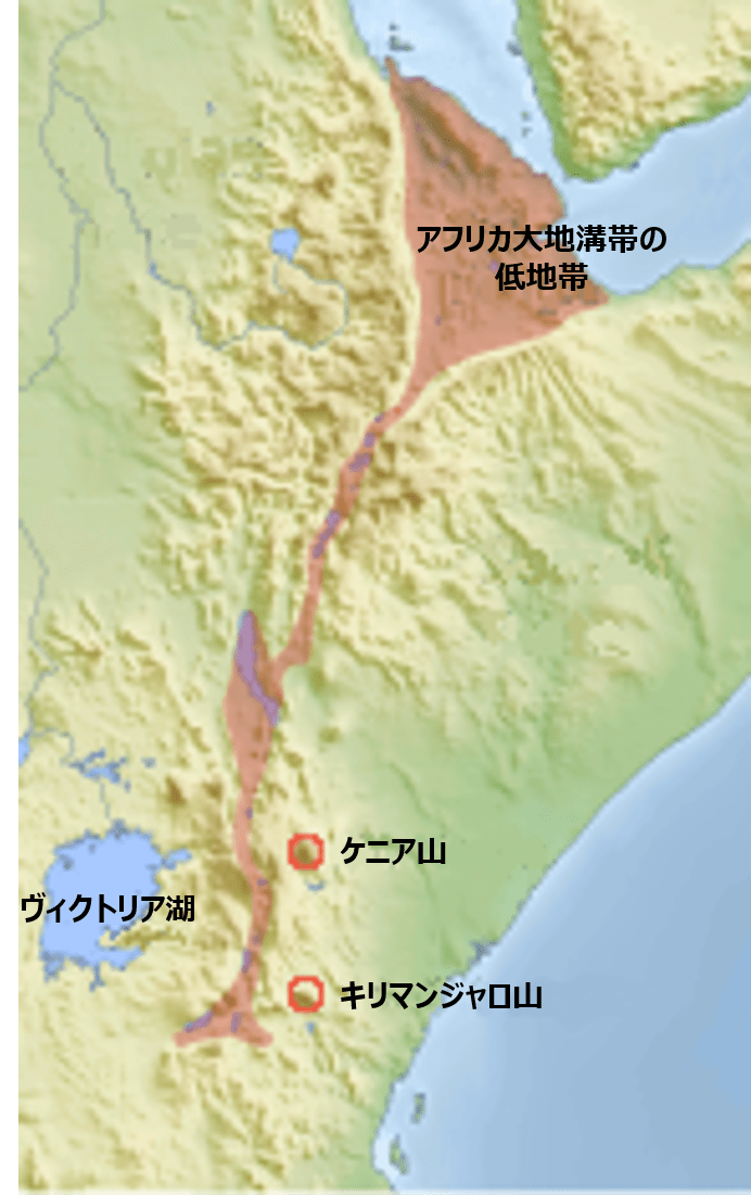 大陸上の広がる境界と地形(アフリカ大地溝帯・断層湖) - 地理ラボ 詳しすぎる高校地理